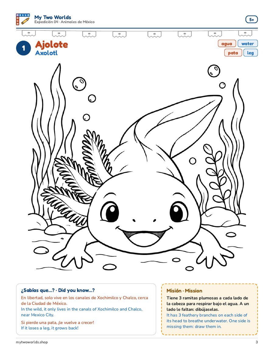 1 · Ajolote