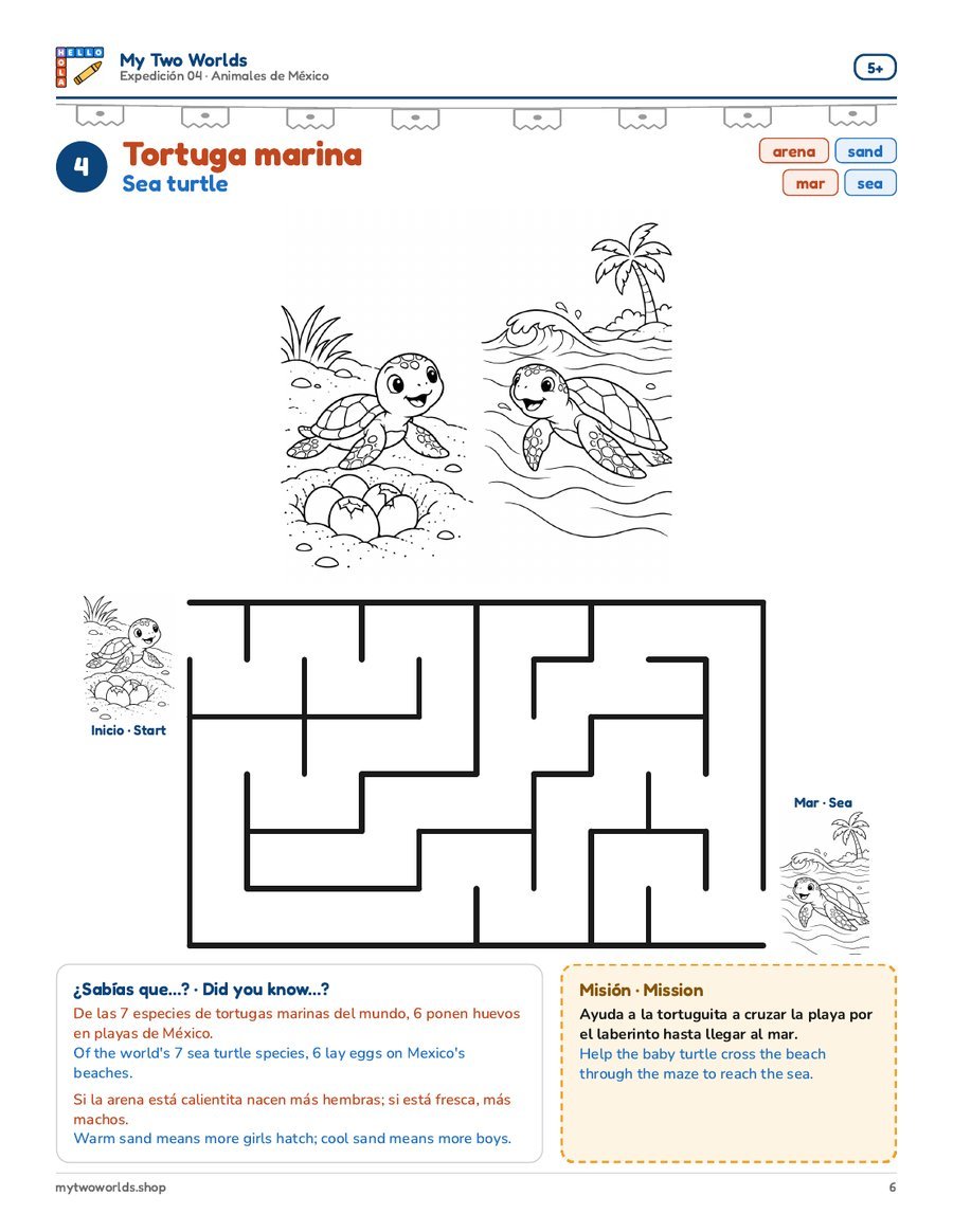 4 · Tortuga marina
