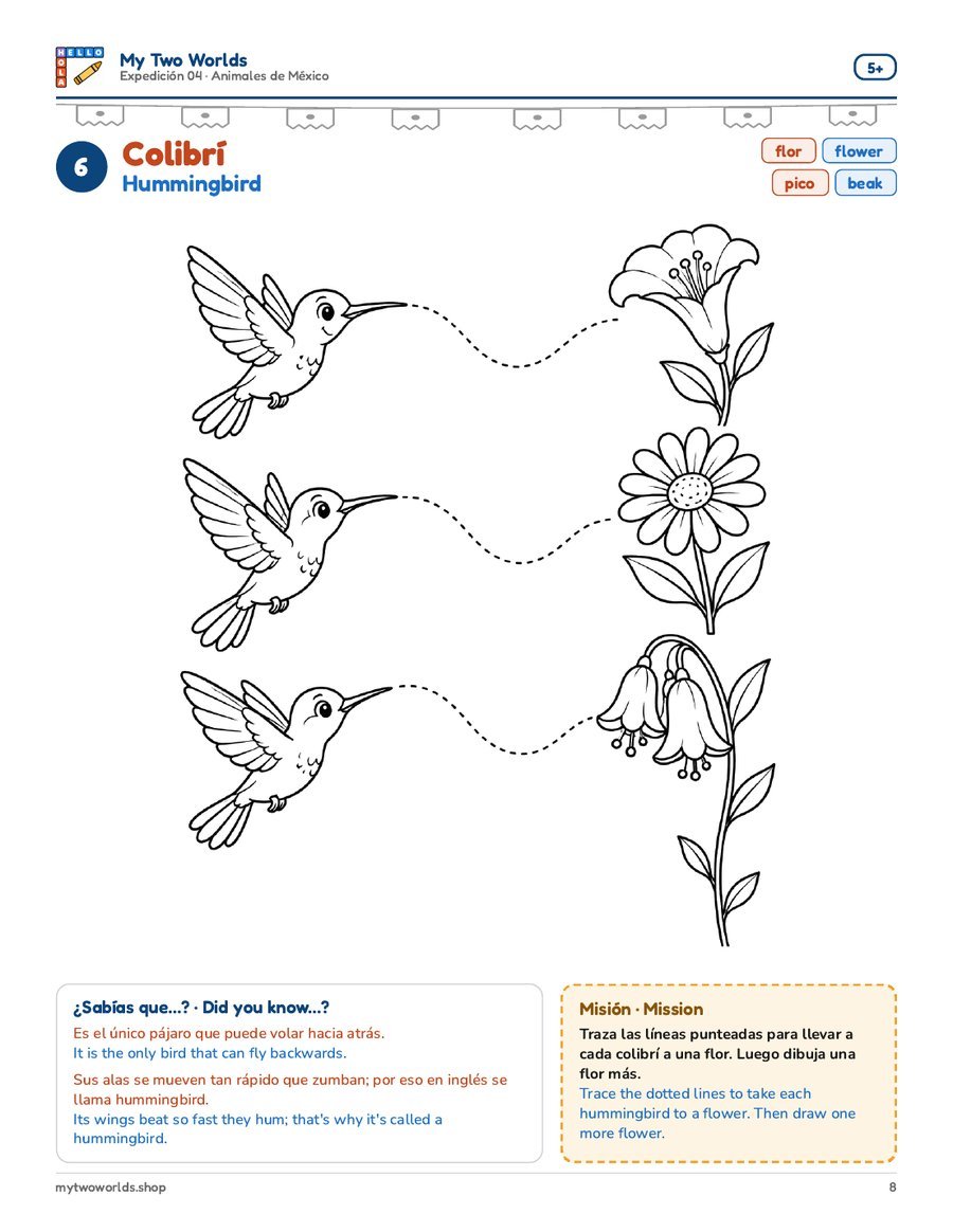 6 · Colibrí