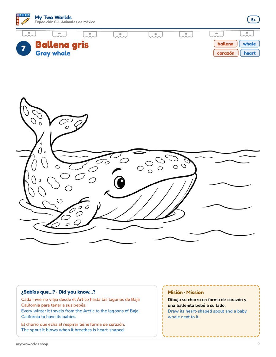 7 · Ballena gris