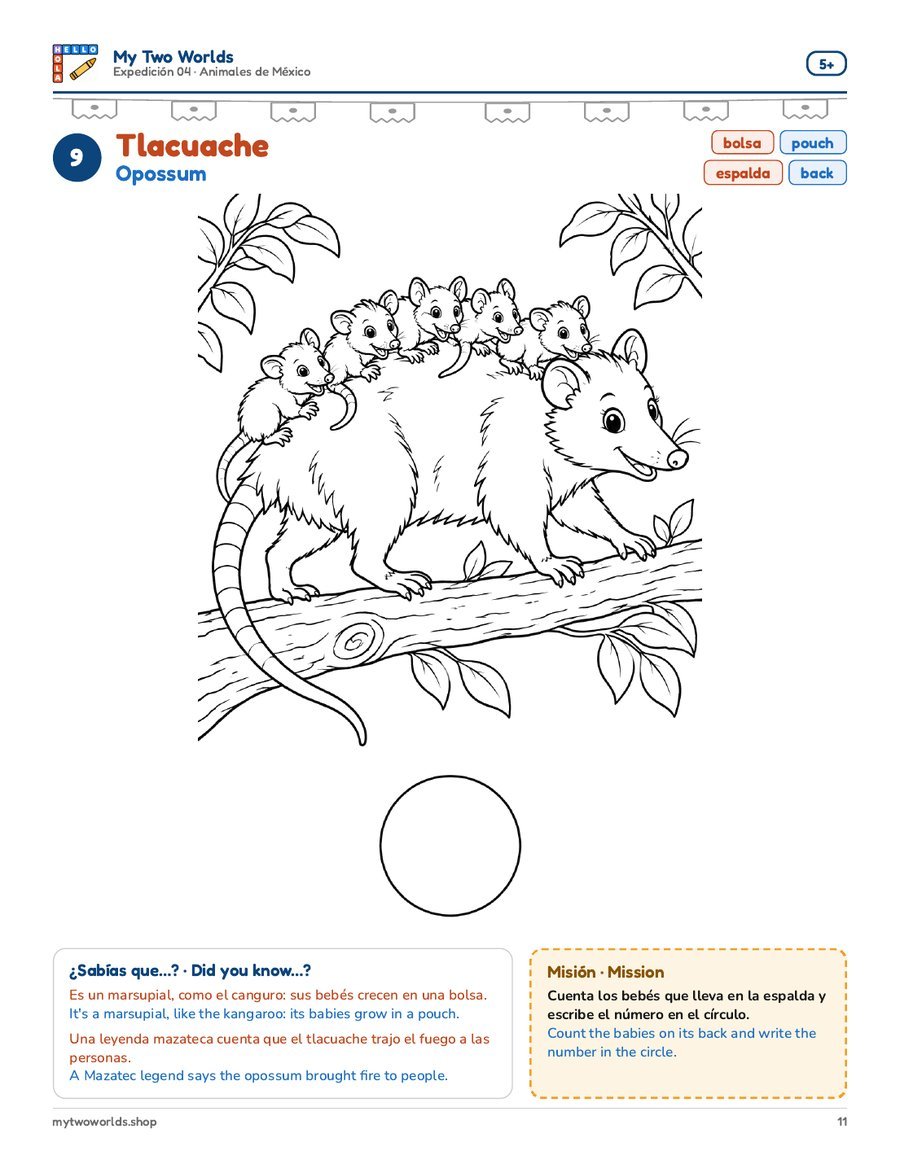 9 · Tlacuache
