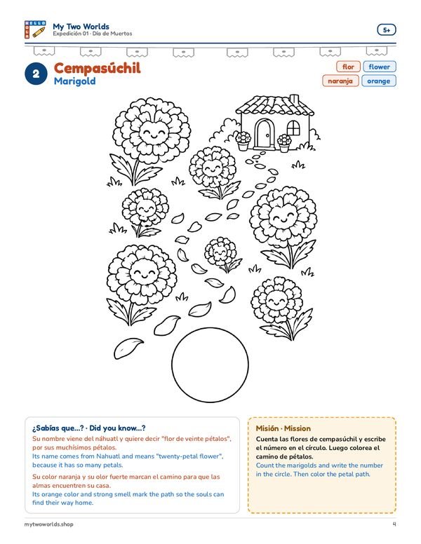 2 · Cempasúchil